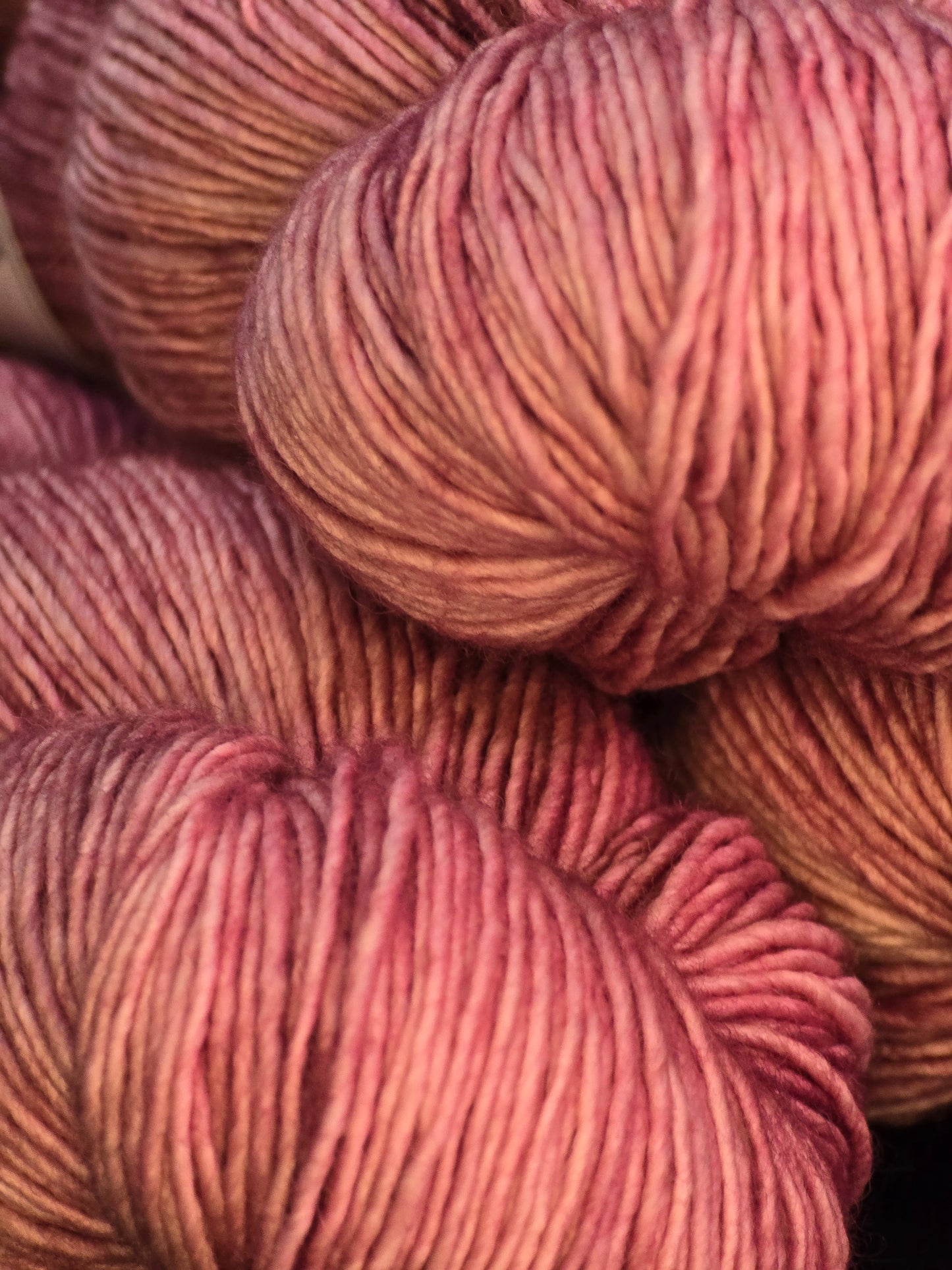 One Track Mind:  Damask Rose